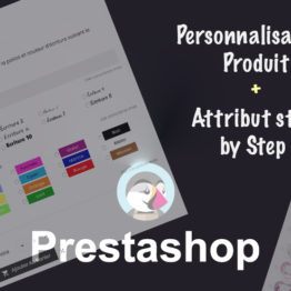 Module Personnalisation Produit Simple Prestashop 1.7