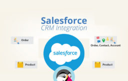 MODULE PRESTASHOP Fast Salesforce CRM Integration Salesforce CRM Integration